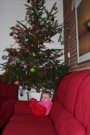 Thuis onder de kerstboom